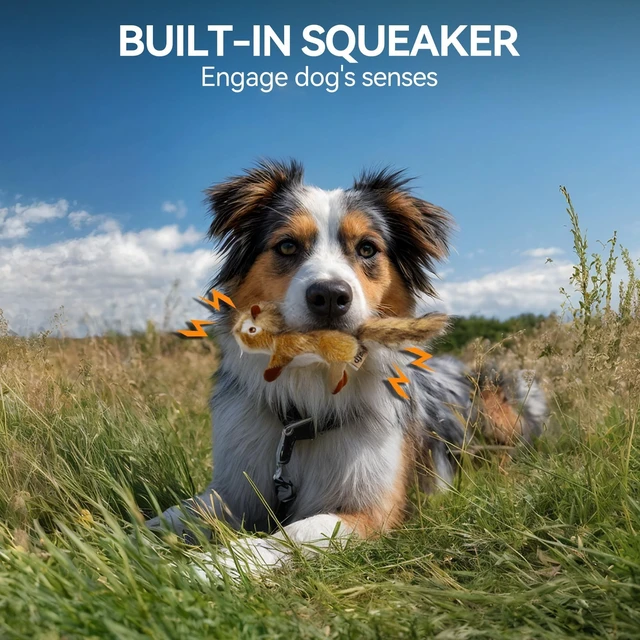 Alt view image 4 of 7 - Squirrel Squeaky Doy Toy, Squirrel Dog Toy for Small Medium Breed, Puppy Fetch Toy with Squeaker, Plush Chew Dog Toy, 5.9 x 4.3 x 2.8 inches, Classic-Chipmunk S