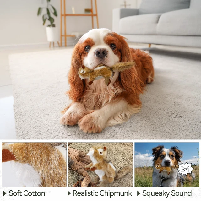 Alt view image 6 of 7 - Squirrel Squeaky Doy Toy, Squirrel Dog Toy for Small Medium Breed, Puppy Fetch Toy with Squeaker, Plush Chew Dog Toy, 5.9 x 4.3 x 2.8 inches, Classic-Chipmunk S
