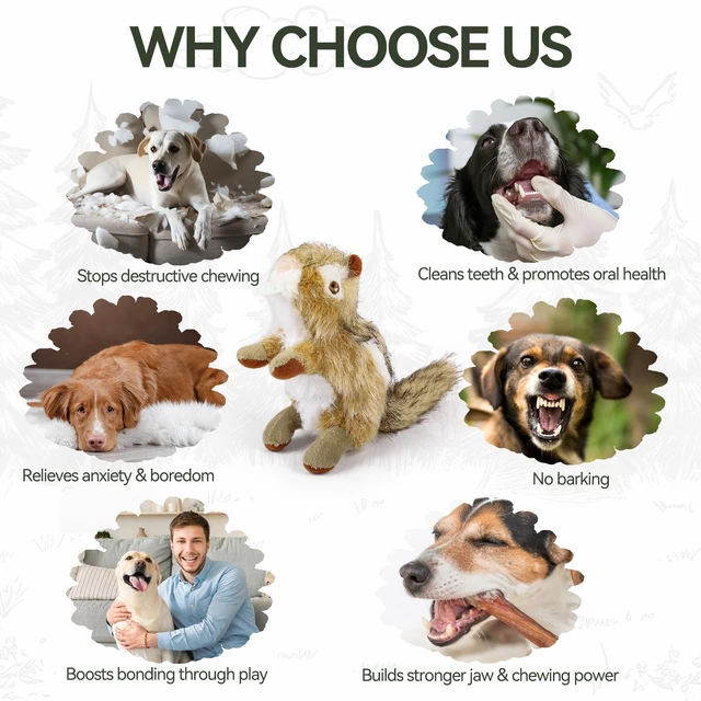 Alt view image 7 of 7 - Squirrel Squeaky Doy Toy, Squirrel Dog Toy for Small Medium Breed, Puppy Fetch Toy with Squeaker, Plush Chew Dog Toy, 5.9 x 4.3 x 2.8 inches, Classic-Chipmunk S