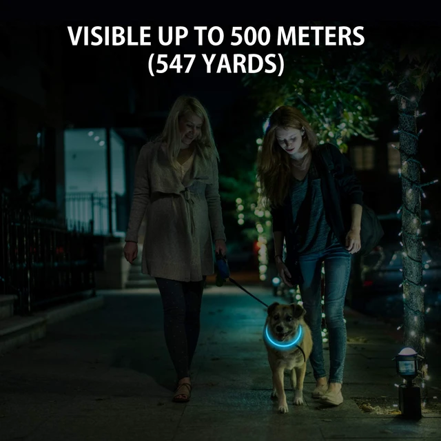 Alt view image 3 of 7 - 2-Pack LED Dog Collar, Light Up Dog Collars,Rechargeable Dog Lights for Night WalkingUniversal, Reusable Safety Necklace for Small Medium Large Dogs Green&Blue