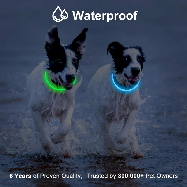 Alt view image 6 of 7 - 2-Pack LED Dog Collar, Light Up Dog Collars,Rechargeable Dog Lights for Night WalkingUniversal, Reusable Safety Necklace for Small Medium Large Dogs Green&Blue