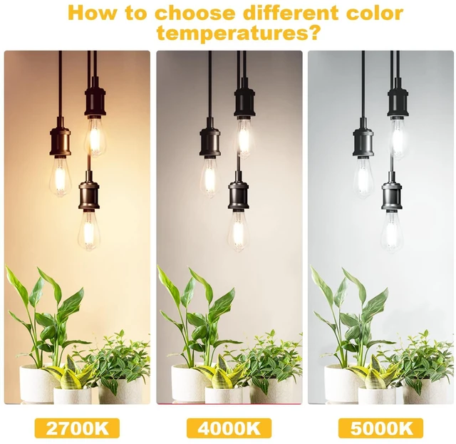 Alt view image 7 of 7 - 36 Pack Vintage LED Edison Bulbs 6W, 60W Equivalent E26 Base 5000K ST58 Antique Filament Medium Base Bulbs, Clear Glass Style for Living Room, Dimmable High Brightness 850LM, Daylight White