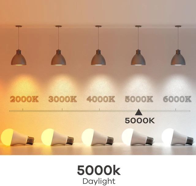 Alt view image 7 of 7 - A19 LED Light Bulbs, 100 Watt Equivalent, 5000K Daylight 12 Packs Efficient 14W 1600 Lumens Non-Dimmable LED Bulb, E26 Standard Base Bulbs 120V for Home Kitchen Bedroom Living Room
