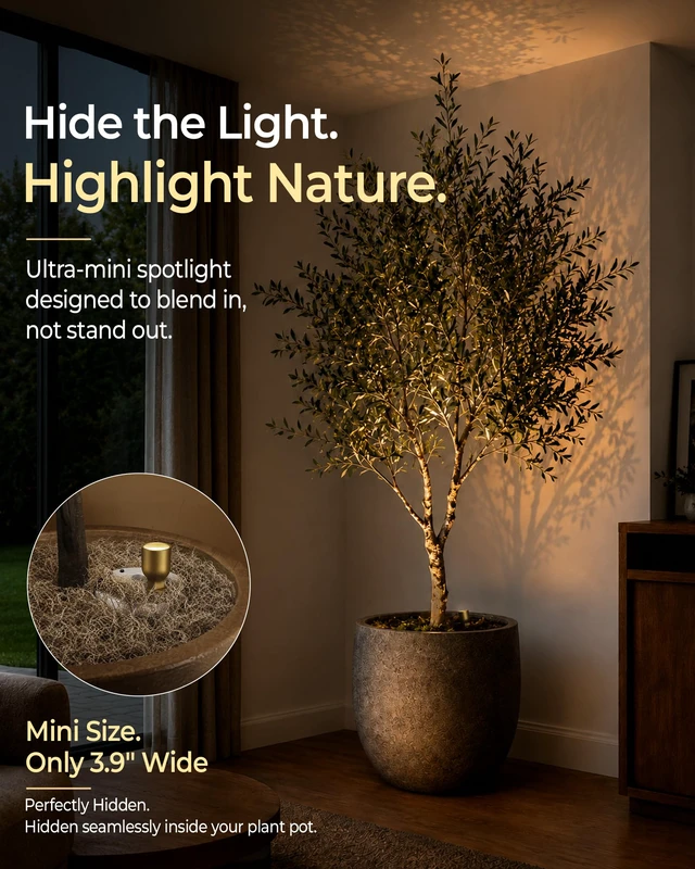 Alt view image 5 of 7 - Spotlight Indoor, Rechargeable Battery Picture Lights, Wireless Uplights with Remote, Dimmable, 3 Color Temperatures, Timer, Accent Lighting for Plants, Trees, Art, Displays (2-Pack)