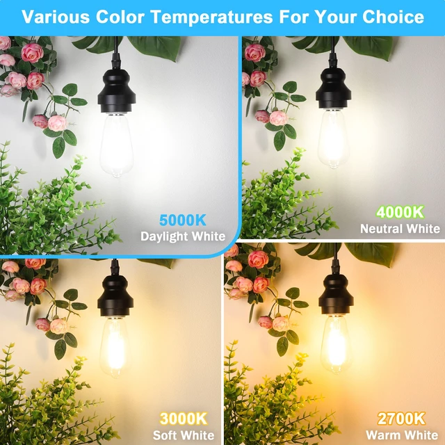 Alt view image 3 of 7 - 10-Pack Vintage Edison Bulbs 60W Equivalent, 850LM 6W LED Light Bulb Daylight White 5000K, ST58 Filament Lighting E26 Base, Non-Dimmable