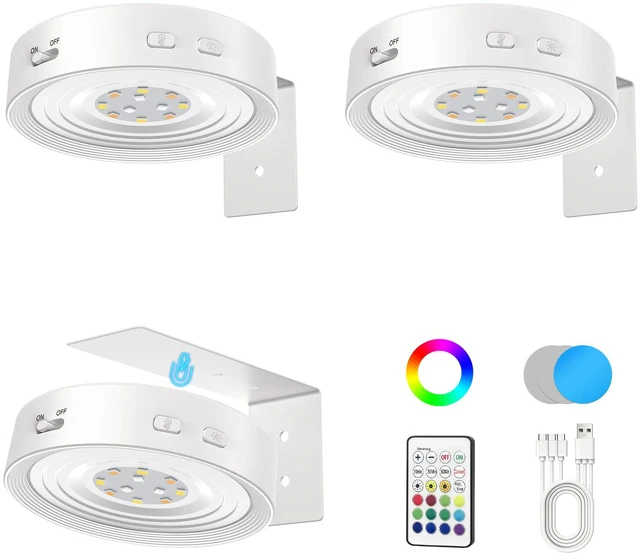 Main image of Picture Lights for Wall, Rechargeable Battery Magnetic Wall Lights with 3 Color Temps and 12 RGB, Picture Light with Remote, Dimmable and Timer, Decor Light for Painting/Frame/Art Display