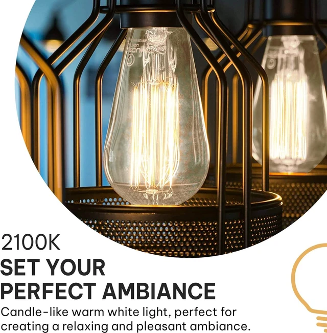 Alt view image 4 of 7 - Vintage Incandescent Edison Light Bulbs, 60W, E26/E27 Base, 2100K Dimmable Decorative Lights, ST58 Style Warm Glow, Antique Squirrel Filament for Indoor and Outdoor Use - 12 Pack