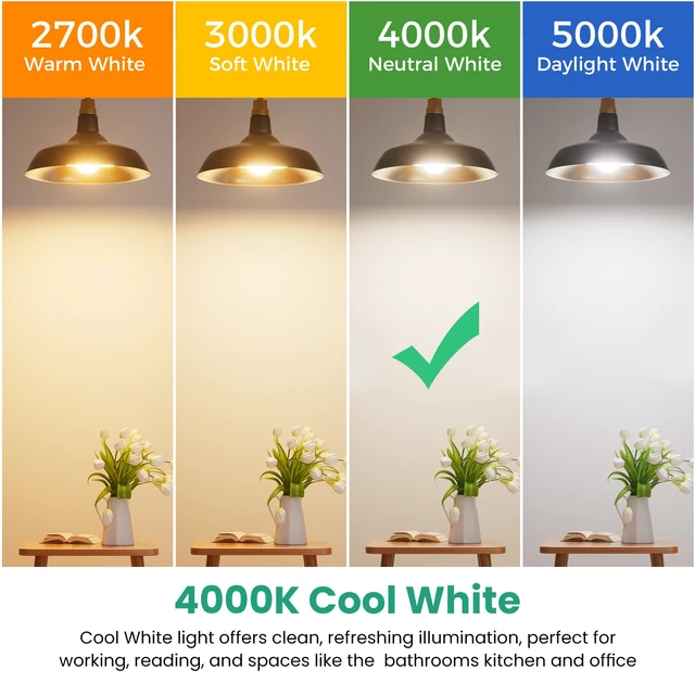 Alt view image 6 of 7 - 6 Pack A19 LED Light Bulbs, 4000K Cool White, 60 Watt Equivalent Efficient 9W, E26 Standard Base 120V, Neutral White, 800 Lumens, Non-Dimmable, UL Listed Type A Lamp for Living Room, Office