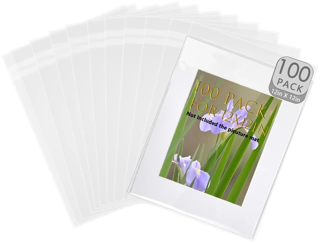 Main image of 100 Pcs Clear Cellophane Bags 12x12 Self Sealing Crystal Sleeves for Print 12-2/5" x 12-2/5" OPP Storage Bag for 12X12 Art Prints/Pictures/Photos/Framing Mat Mattes