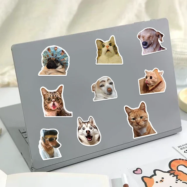 Alt view image 3 of 7 - 300 Pcs Funny Cat and Dog Meme Stickers Pack, Realistic Pet Vinyl Stickers for Teens Adults, Waterproof Decals for Laptop, Water Bottle, Phone, Scrapbook