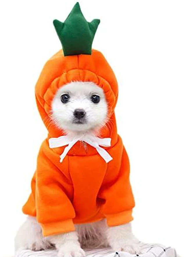 Alt view image 2 of 7 - Dog Christmas Halloween Costumes,Dog Hoodies for Small Dogs Cats, Cat Puppy Outfits,Yorkie Chihuahua Pomeranian Clothes (Large, Orange-Carrot)