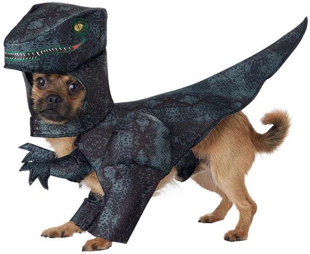 Main image of Pupasaurus Rex Dog Costumes Medium