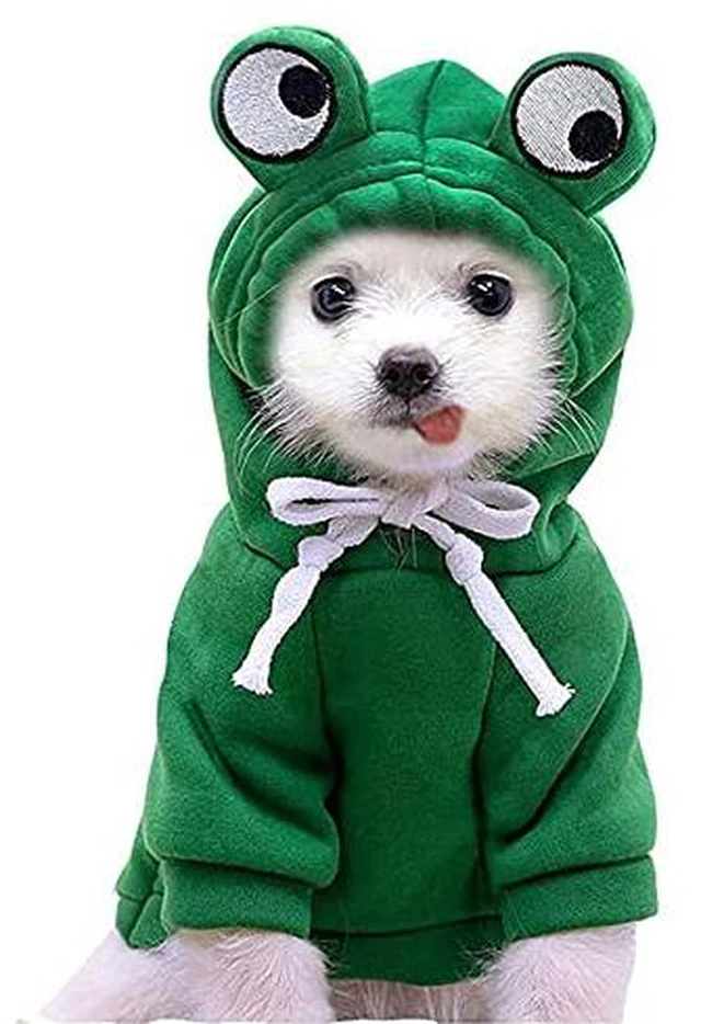 Alt view image 3 of 7 - Dog Christmas Halloween Costumes,Dog Hoodies for Small Dogs Cats, Cat Puppy Outfits,Yorkie Chihuahua Pomeranian Clothes (Large, Orange-Carrot)
