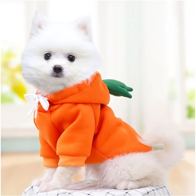 Alt view image 6 of 7 - Dog Christmas Halloween Costumes,Dog Hoodies for Small Dogs Cats, Cat Puppy Outfits,Yorkie Chihuahua Pomeranian Clothes (Large, Orange-Carrot)