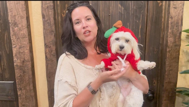 Alt view image 7 of 7 - Dog Christmas Halloween Costumes,Dog Hoodies for Small Dogs Cats, Cat Puppy Outfits,Yorkie Chihuahua Pomeranian Clothes (Large, Orange-Carrot)