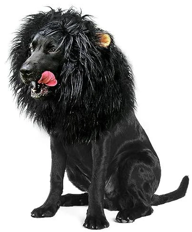 Alt view image 2 of 5 - Onmygogo Lion Mane Wig for Dogs with Ears, Funny Pet Costumes for Halloween Christmas