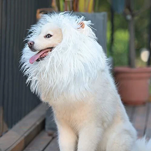 Alt view image 3 of 5 - Onmygogo Lion Mane Wig for Dogs with Ears, Funny Pet Costumes for Halloween Christmas