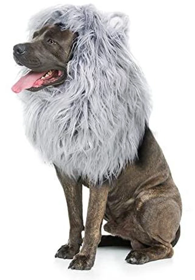 Alt view image 4 of 5 - Onmygogo Lion Mane Wig for Dogs with Ears, Funny Pet Costumes for Halloween Christmas