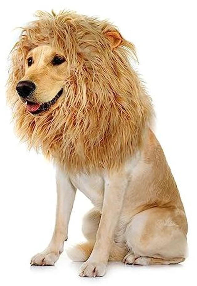 Alt view image 5 of 5 - Onmygogo Lion Mane Wig for Dogs with Ears, Funny Pet Costumes for Halloween Christmas