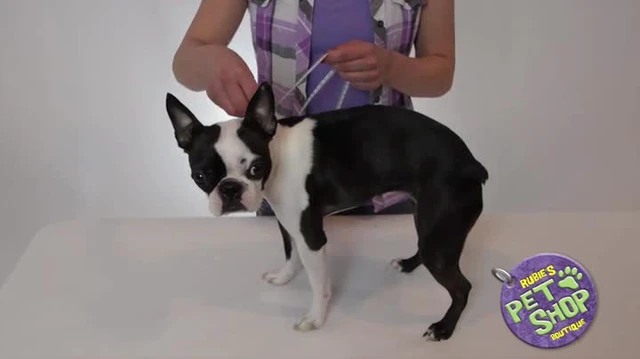 Alt view image 3 of 4 - Rubies Pink Monster Pet Costume for Dogs or Cats, Large