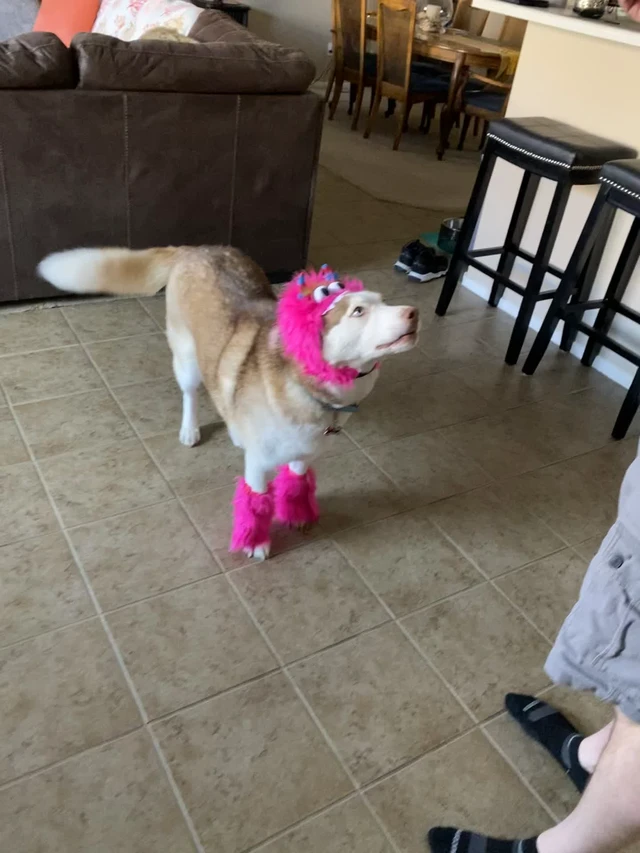 Alt view image 4 of 4 - Rubies Pink Monster Pet Costume for Dogs or Cats, Large