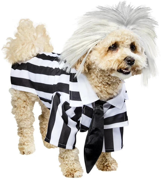Main image of Beetlejuice: Beetlejuice Pet Costume for For Dogs or Cats by Rubies, XL