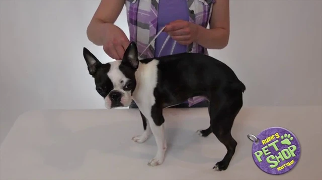 Alt view image 4 of 5 - Rubies DC Comics Superheroes: Batman Pet Costume for Dogs or Cats, XL