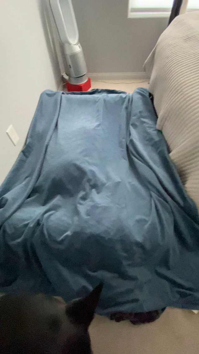 Alt view image 6 of 7 - Waterproof Dog Blanket, Soft Reversible Throw for Couch & Bed Protection