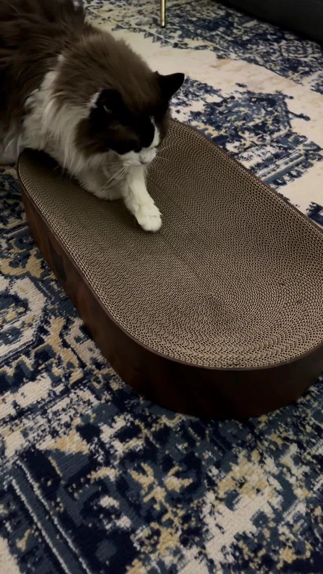Alt view image 3 of 7 - Cat Scratcher Bed, Oval Cardboard Scratching Board for Indoor Cats
