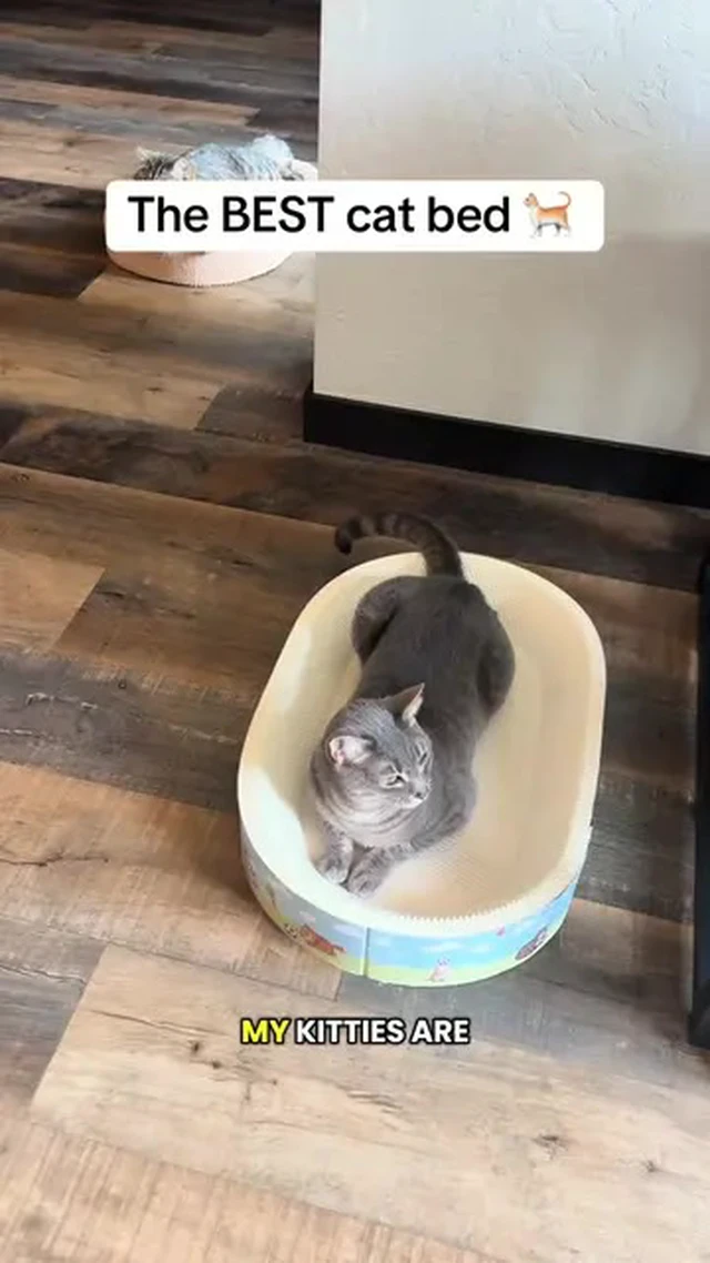 Alt view image 5 of 7 - Cat Scratcher Bed, Oval Cardboard Scratching Board for Indoor Cats