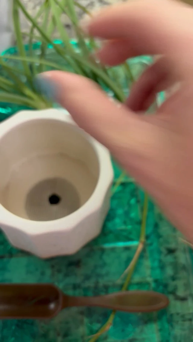Alt view image 3 of 3 - 50 Plant Pots Hole Mesh Pad - MAQIHAN Flower Pot Mesh Mat Terrarium Potting Eye Mesh Mats Pot Substrate Barrier 2 Inch Net Bonsai Gardening Grid Ceramic Drainage Hole Mesh Screen Prevent Soil Leaking