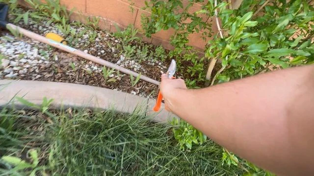 Alt view image 3 of 5 - Pruning Shear, Premium Gardening Scissors for Rose Bushes, 7.5IN Garden Pruner Effortlessly Cuts 0.6IN Branches with Stainless Steel Blades Softgrip, One-Hand Lock Garden Clippers for Shrubs