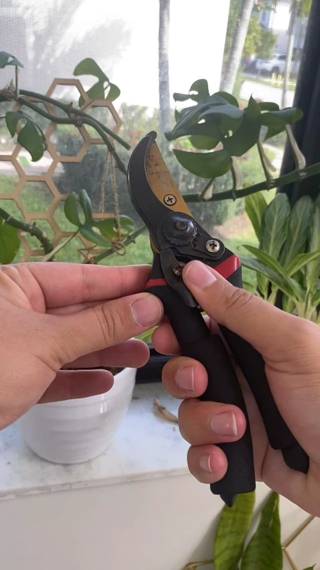 Alt view image 3 of 6 - Pruning Shears, Garden Shears, 8" Professional, Titanium Blade