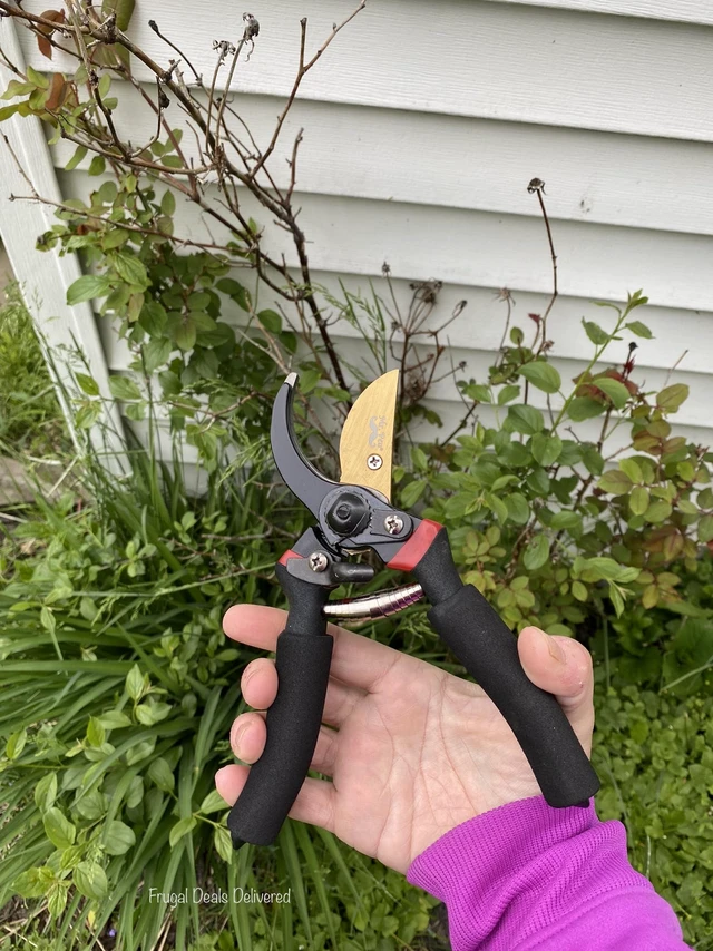 Alt view image 4 of 6 - Pruning Shears, Garden Shears, 8" Professional, Titanium Blade