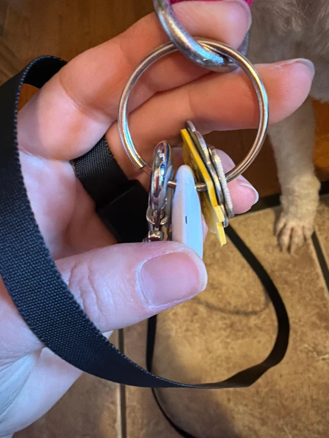 Alt view image 4 of 4 - Split Key ring Assorted, 5 Sizes (1/2 inch, 3/4 inch,1 inch, 1.25 inch, 1.38 inch), for Dog Pet Collar DIY Tag Jewelry