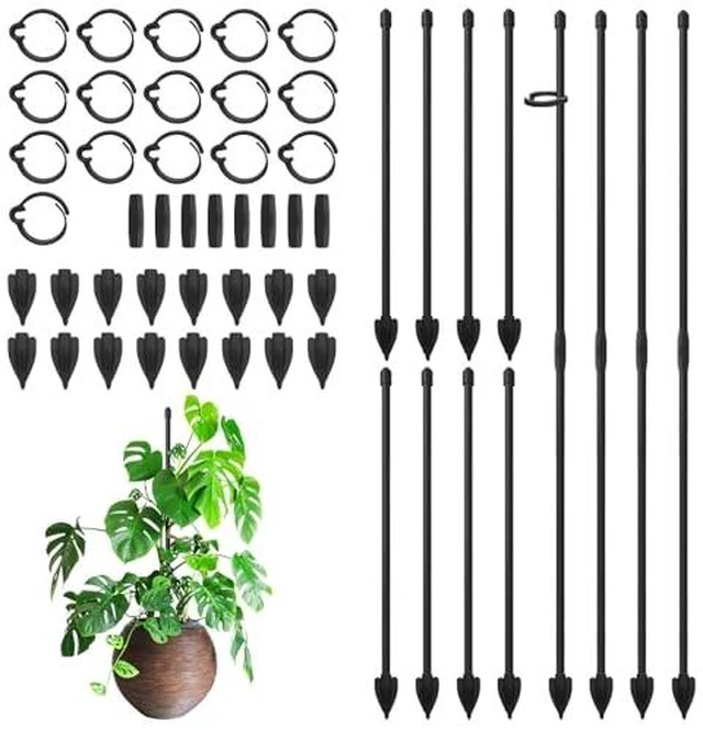 Alt view image 3 of 6 - Plant Stakes for Indoor Plants, 12 Inch Plant Support Stakes, 6 PCS