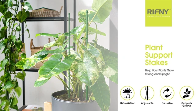 Alt view image 5 of 6 - Plant Stakes for Indoor Plants, 12 Inch Plant Support Stakes, 6 PCS
