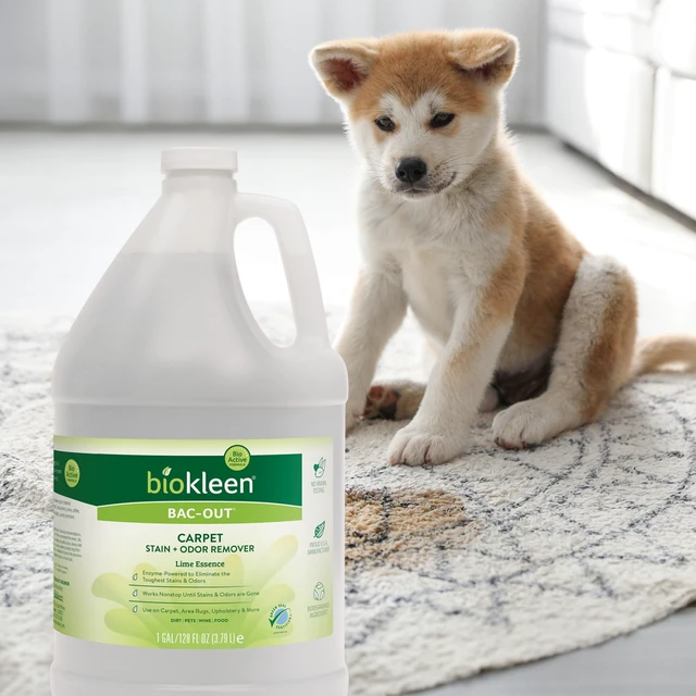 Alt view image 6 of 7 - Bac Out Enzyme Cleaner, Stain & Pet Odor Eliminator, Lime Scent Pet Stain Remover for Carpet, Enzymatic Cleaner for Dog Urine, Cat Urine Enzyme Cleaner Destroyer, Eco-Friendly, Non-Toxic