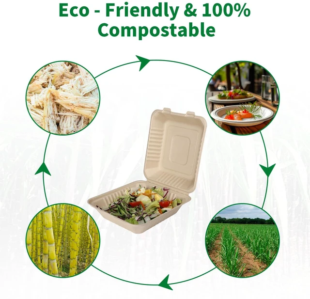 Alt view image 5 of 7 - Disposable 100 Pack 8×9 Inch Takeout Lunch Box Containers with Lids Compostable and Eco-Friendly Biodegradable Bagasse To Go Containers, PFAS-Free, Ideal for Meal Prep, Food, Party, Picnic
