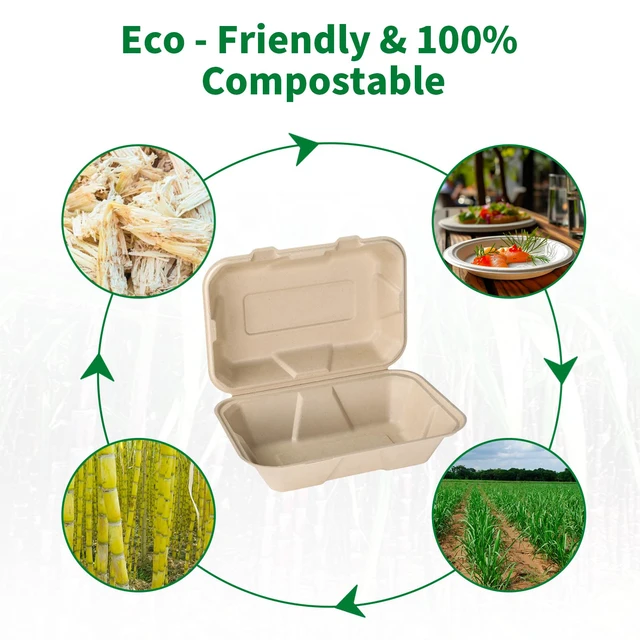 Alt view image 4 of 7 - Disposable 100 Pack 9×6 Inch Takeout Lunch Box Containers with Lids Compostable and Eco-Friendly Biodegradable Bagasse To Go Containers, PFAS-Free, Ideal for Meal Prep, Food, Party, Picnic