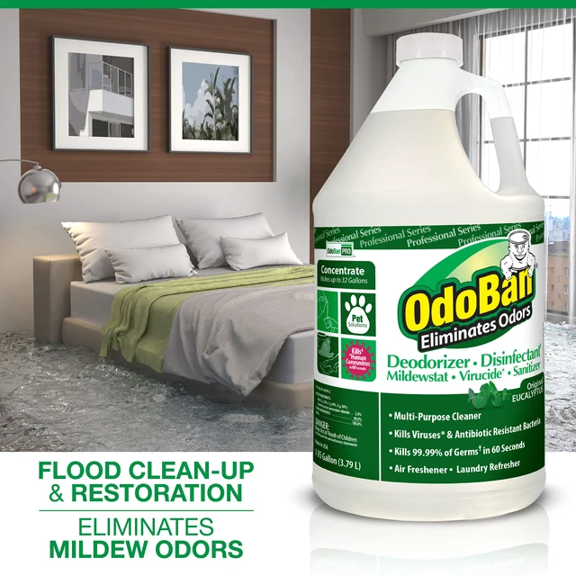 Alt view image 4 of 5 - Professional Disinfectant and Odor Eliminator Concentrate, Made in the USA, Original Eucalyptus and Lavender Scents, 2-Pack, 1 Gallon Each
