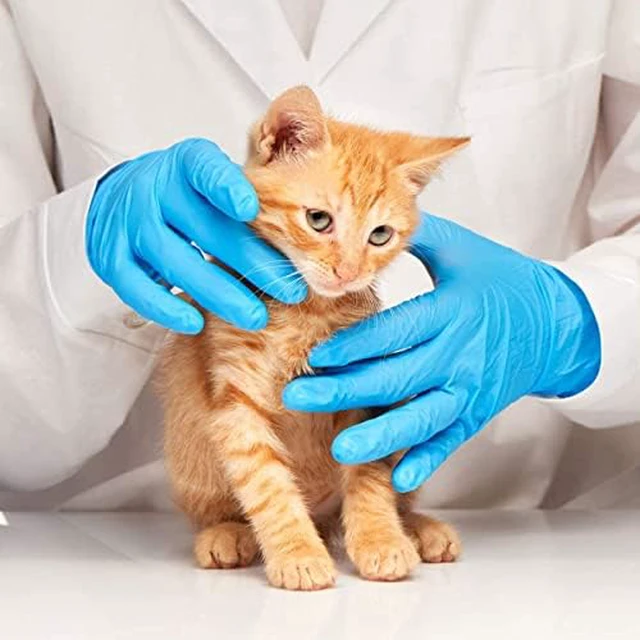 Alt view image 6 of 7 - Basic Medical Blue Nitrile Exam Gloves - Latex-Free & Powder-Free - NGPF 7002 (Case of 1,000), Medium