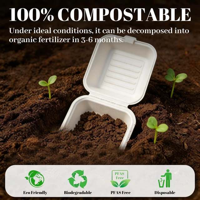 Alt view image 3 of 7 - 100 Pack 6×6 Inch White Compostable Bagasse Takeout Food Containers Small To Go Disposable Lunch Box, Eco-Friendly Biodegradable Clamshell Container with Lids, for Burger, Meals, Party, Picnic