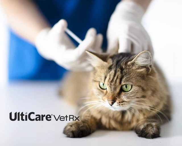 Alt view image 4 of 7 - VetRx U-40 Pet Insulin Syringes, 3/10cc, 29G x 1/2", 100 Ct Half Unit Markings | Comfortable, Accurate Dosing for Your Dog or Cat with Diabetes, Compatible with Any U-40 Insulin