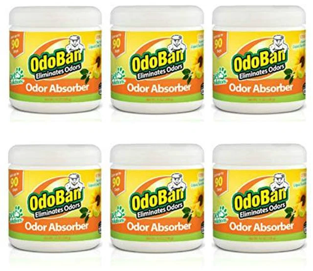 Main image of Solid Odor Absorber Eliminator for Home and Small Spaces, Citrus Scent, 14 Ounces Each, 6-Pack