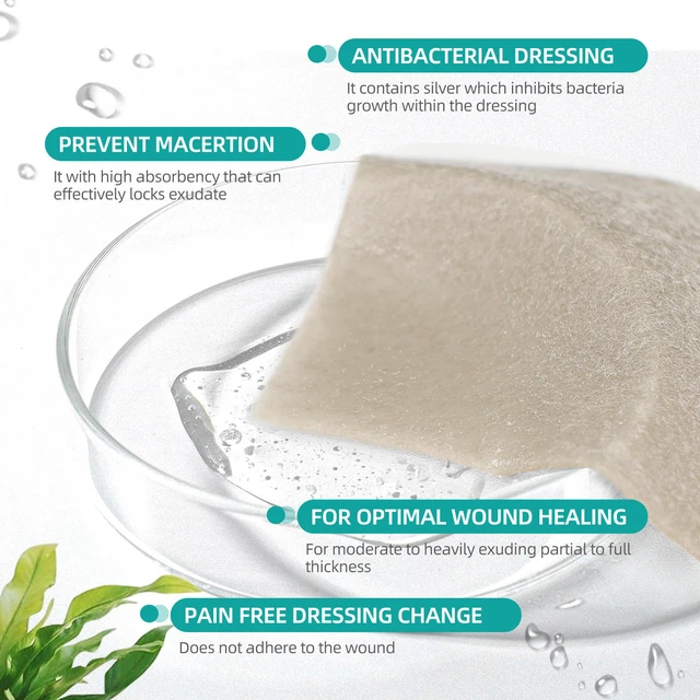Alt view image 5 of 7 - Upgrade Silver Calcium Alginate Wound Dressing -Silver-Infused Wound Care Non Stick Gauze for Wounds Care, Highly Absorbent Sterile Bandage Pads with Ag, 2'' x 2'' Patches 12 Packs Individual