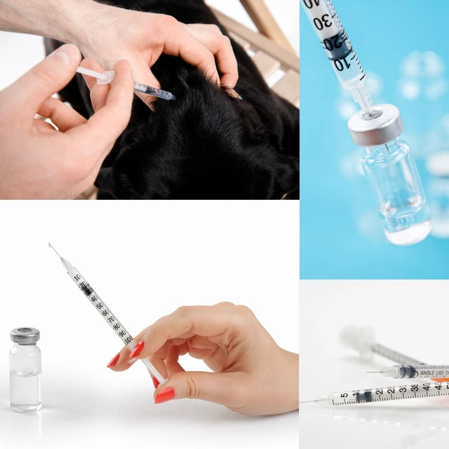 Alt view image 6 of 6 - 1ml Syringe with Needle,30G 1cc 1/2 Inch 12.7mm Needle and Syringe,Individually Wrapped,Pack of 100
