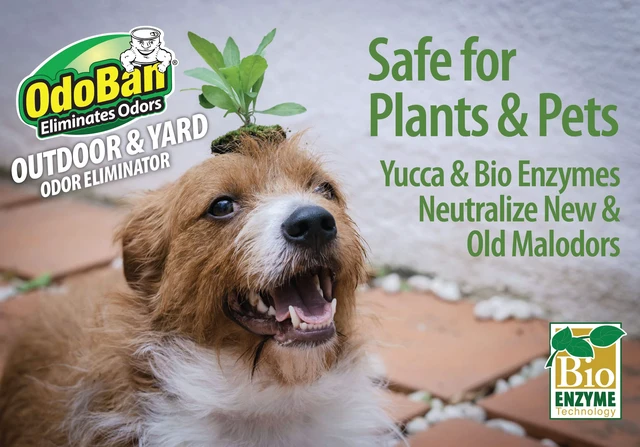 Alt view image 6 of 6 - Outdoor and Yard Odor Eliminator, Plant-Friendly Formula, Made in the USA, Clean Fresh Scent, 32 Fluid Ounce Bottle with Hose End Sprayer, 4-Pack