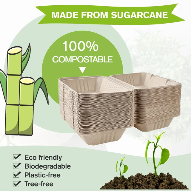 Alt view image 4 of 7 - 75 Pack Compostable Clamshell Take Out Food Containers, 9x6 inch Heavy-Duty Disposable To Go Boxes, Eco-Friendly Biodegradable To Go Containers For Food, Perfect for Next Day Lunch, Party