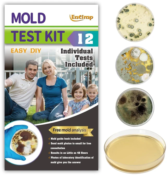 Main image of Mold Test Kit for Home Within 12 Individual Tests,DIY Detector at Home, Surface Mold,HVAC,Indoor Air Quality Testing Kits,Black Mold Testing,Includes Detailed Mold Identification Guide and Free Lab